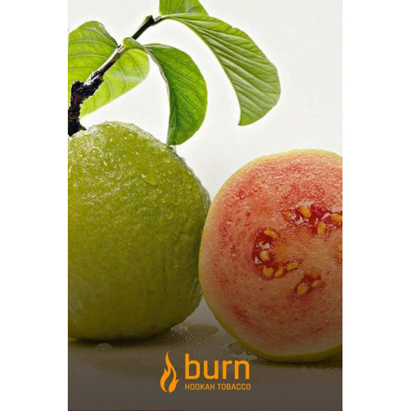 Табак Burn Guava 100 грамм в Петропавловске-Камчатском