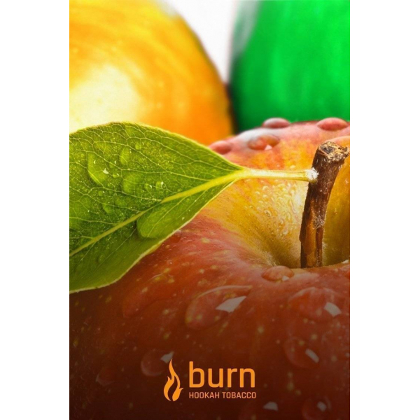 Табак Burn Three Apples 100 грамм в Петропавловске-Камчатском
