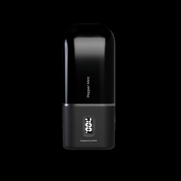 Электронка Soak 13 Pepper Mint Перечная Мята 13000 затяжек в Петропавловске-Камчатском